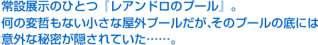 常設展示のひとつ『レアンドロのプール』。何の変哲もない小さな屋外プールだが、そのプールの底には意外な秘密が隠されていた……。