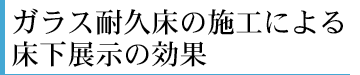 ガラス耐久床の施工による床下展示の効果