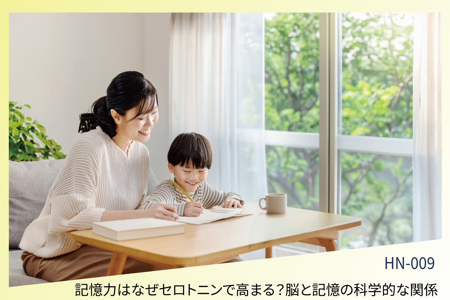 記憶力はなぜセロトニンで高まる？脳と記憶の科学的な関係　