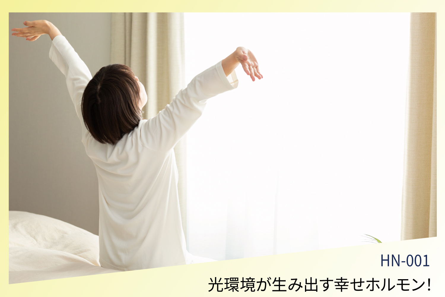 光環境と幸せホルモン「セロトニン」と眠りのホルモン「メラトニン」