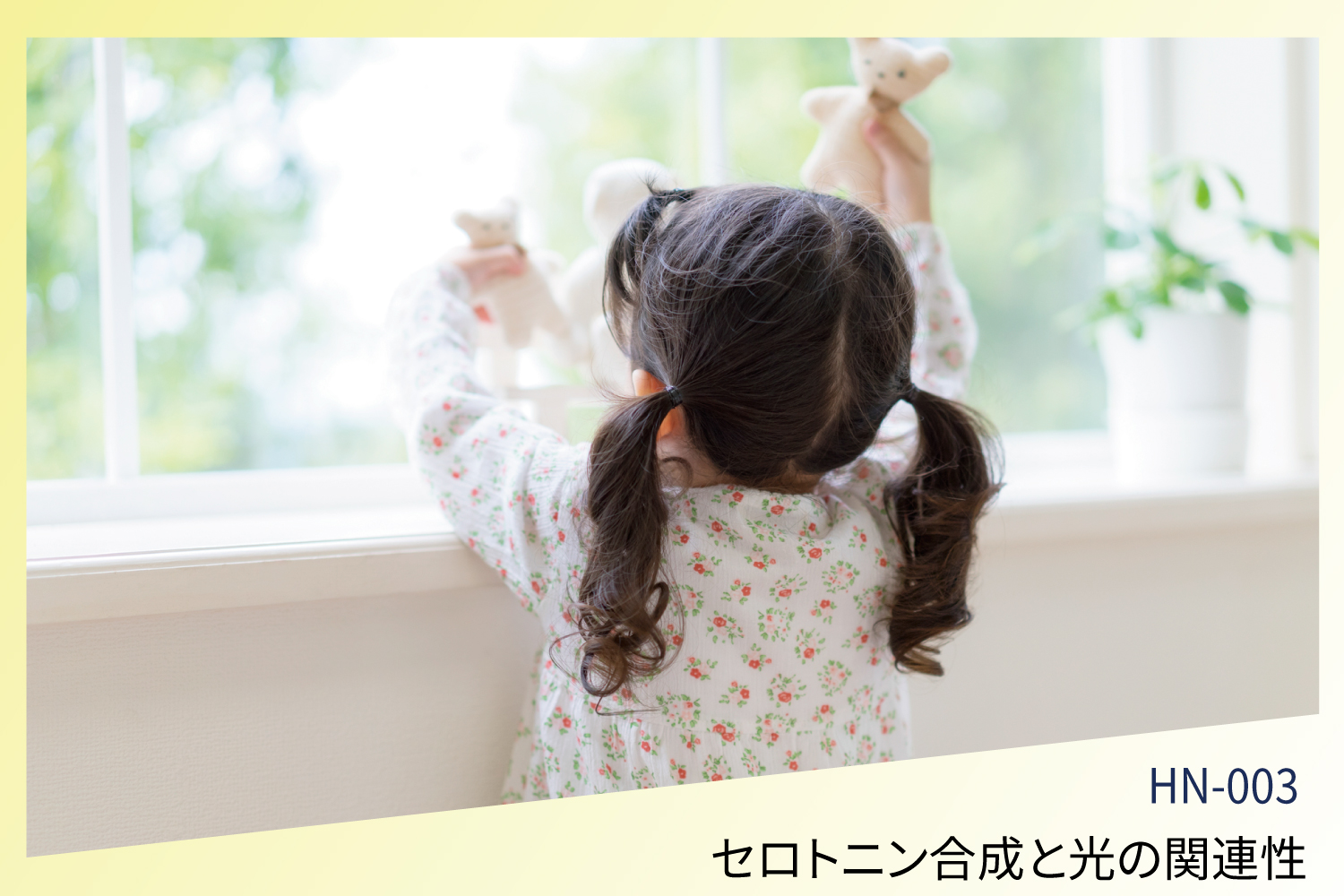 幸せホルモンの神秘に迫る！セロトニン合成と光の関連性