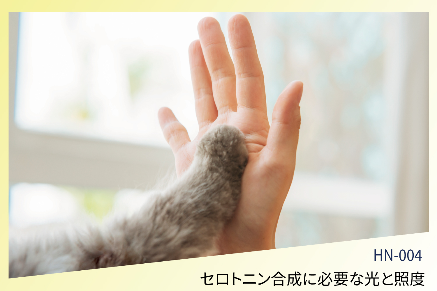 セロトニン合成に必要な光とは？　光の波長と照度について