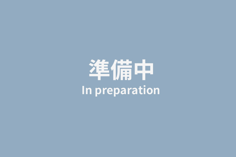 公開準備中