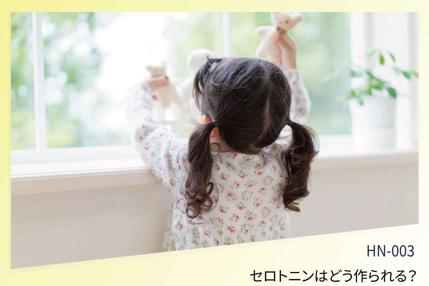 セロトニンはどう作られる？合成の仕組みと光・腸・生活習慣の関係