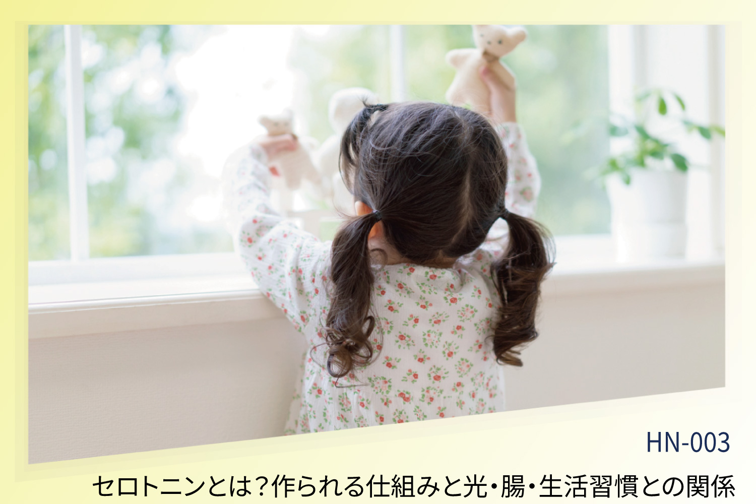 セロトニンとは？作られる仕組みと光・腸・生活習慣との関係