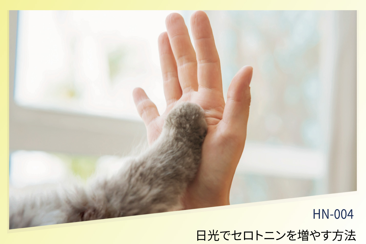 日光でセロトニンを増やす方法｜ブルーライト・照度で変わる効果的な浴び方
