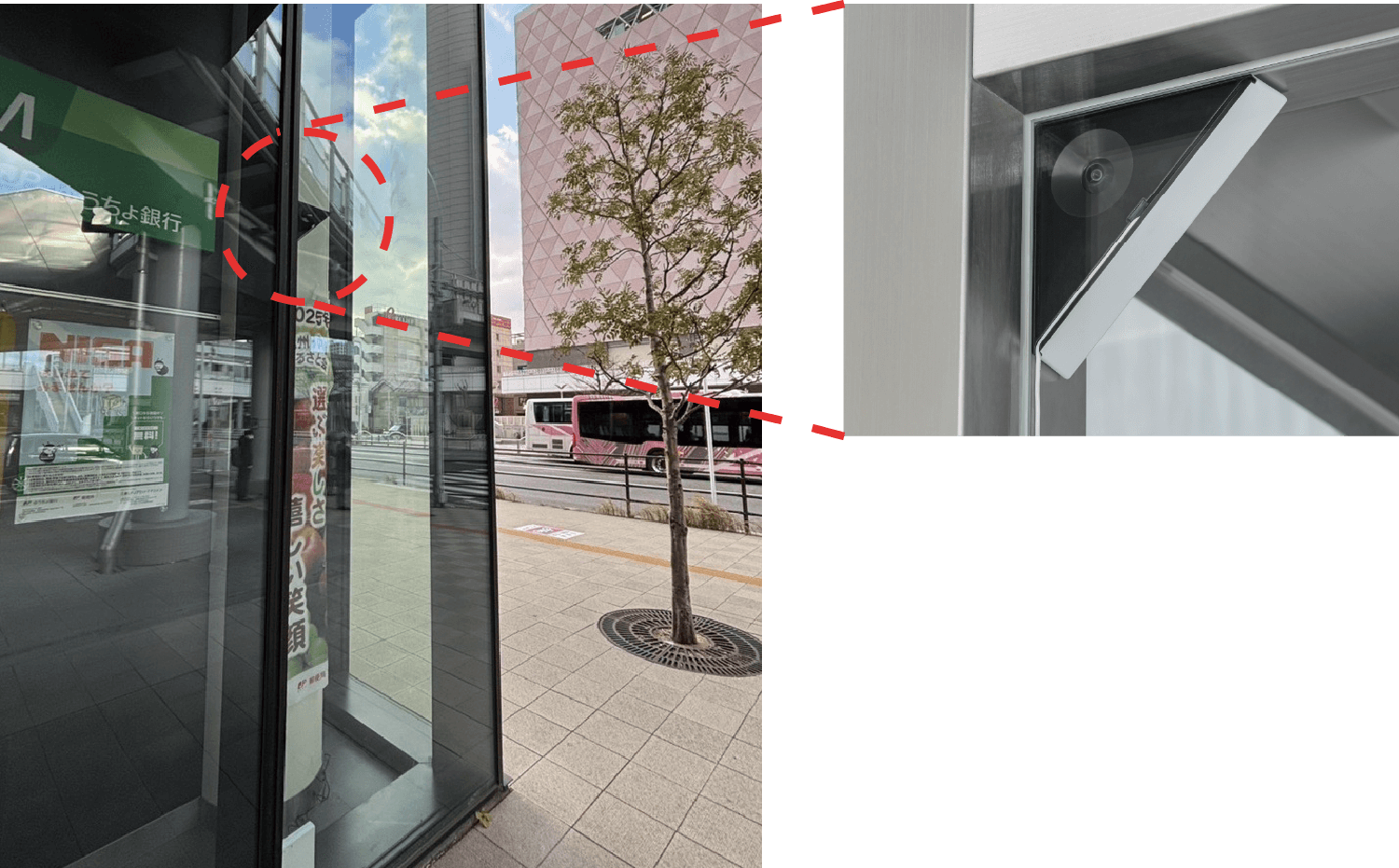 ミハルモの画像