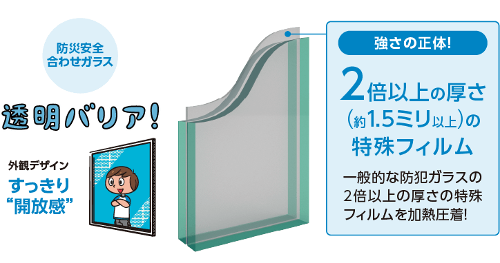 断面図：2倍以上の厚さ（約1.5ミリ以上）の特殊フィルム